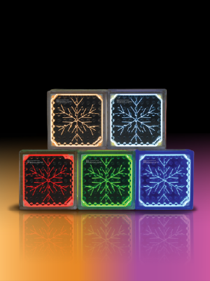 Solar Bricks Home
